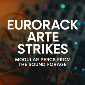 Ocean Swift - Eurorack Arte Striles Product Pic